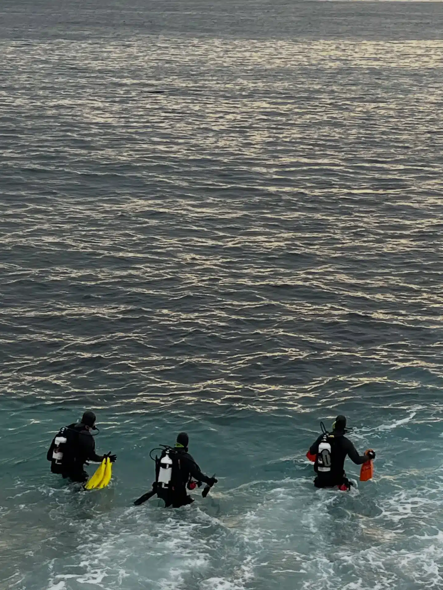 589256413 18434582077110528 5853754856575560143 n