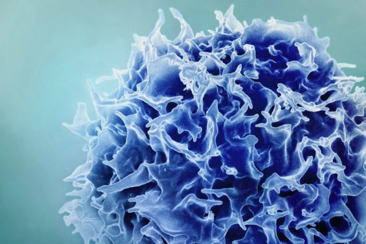blue-t-cell