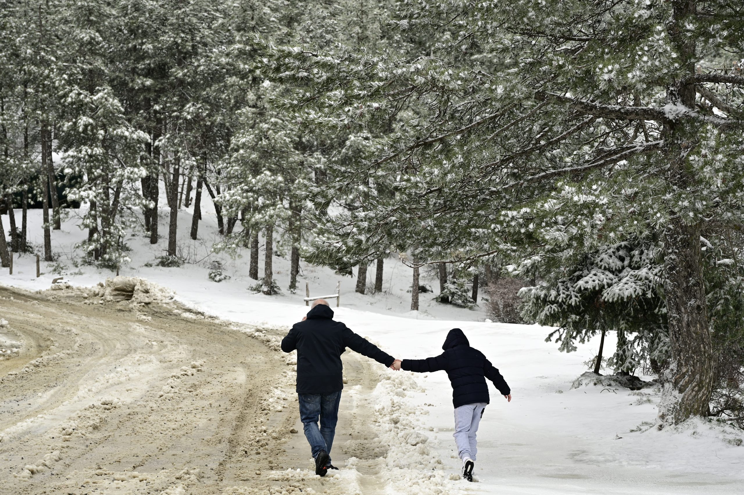 [376581] ΧΙΟΝΟΠΤΩΣΗ ΣΤΗΝ ΠΑΡΝΗΘΑ  (ΜΙΧΑΛΗΣ ΚΑΡΑΓΙΑΝΝΗΣ/EUROKINISSI)