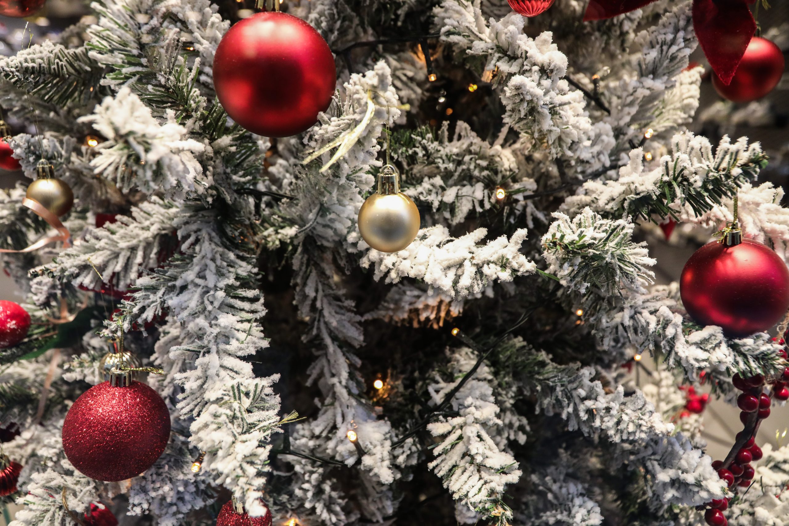 ΧΡΙΣΤΟΥΓΕΝΝΙΑΤΙΚΕΣ ΕΙΚΟΝΕΣ (ΜΑΡΙΑΝΘΗ ΤΣΟΜΠΑΝΟΠΟΥΛΟΥ/EUROKINISSI)