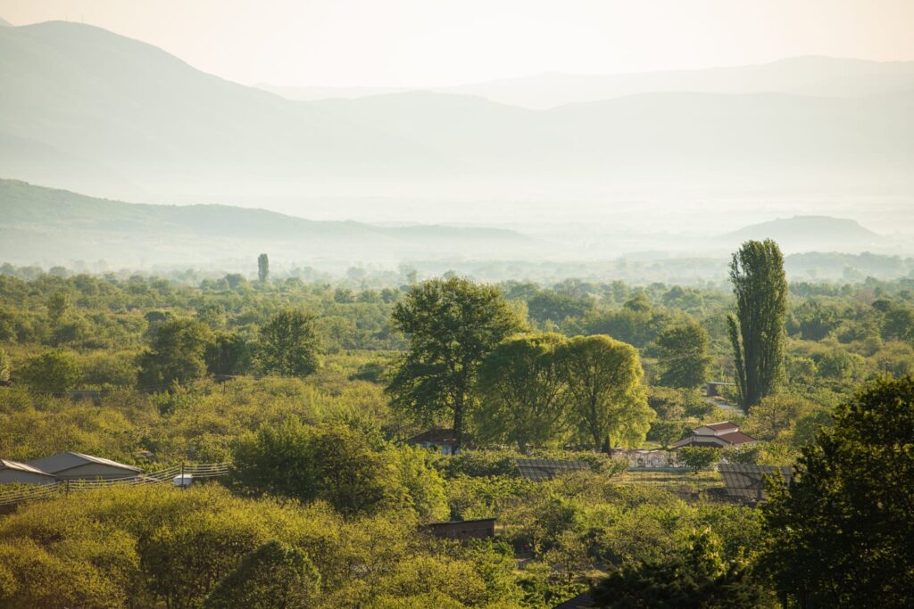Ναϊάδες Hotel: Το μυστικό της χαλάρωσης και της Πολυτέλειας στα Λουτρά Πόζαρ
