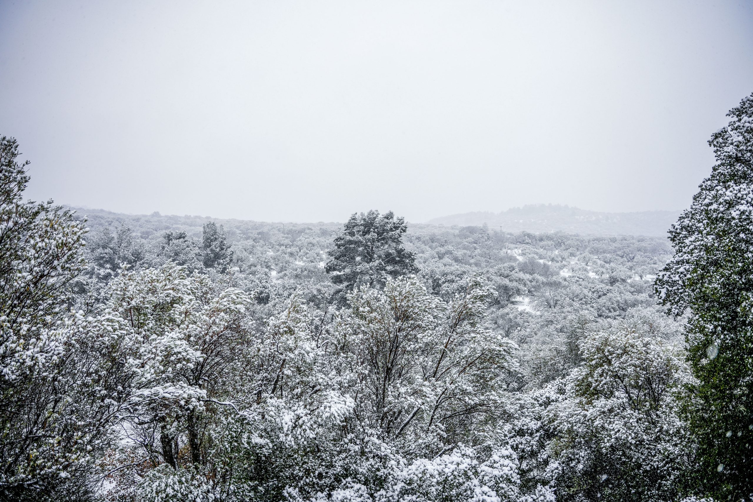 ΧΙΟΝΙΑ ΣΤΗ ΛΕΣΒΟ  (ΠΑΝΑΓΙΩΤΗΣ ΜΠΑΛΑΣΚΑΣ/ΕUROKINISSI)