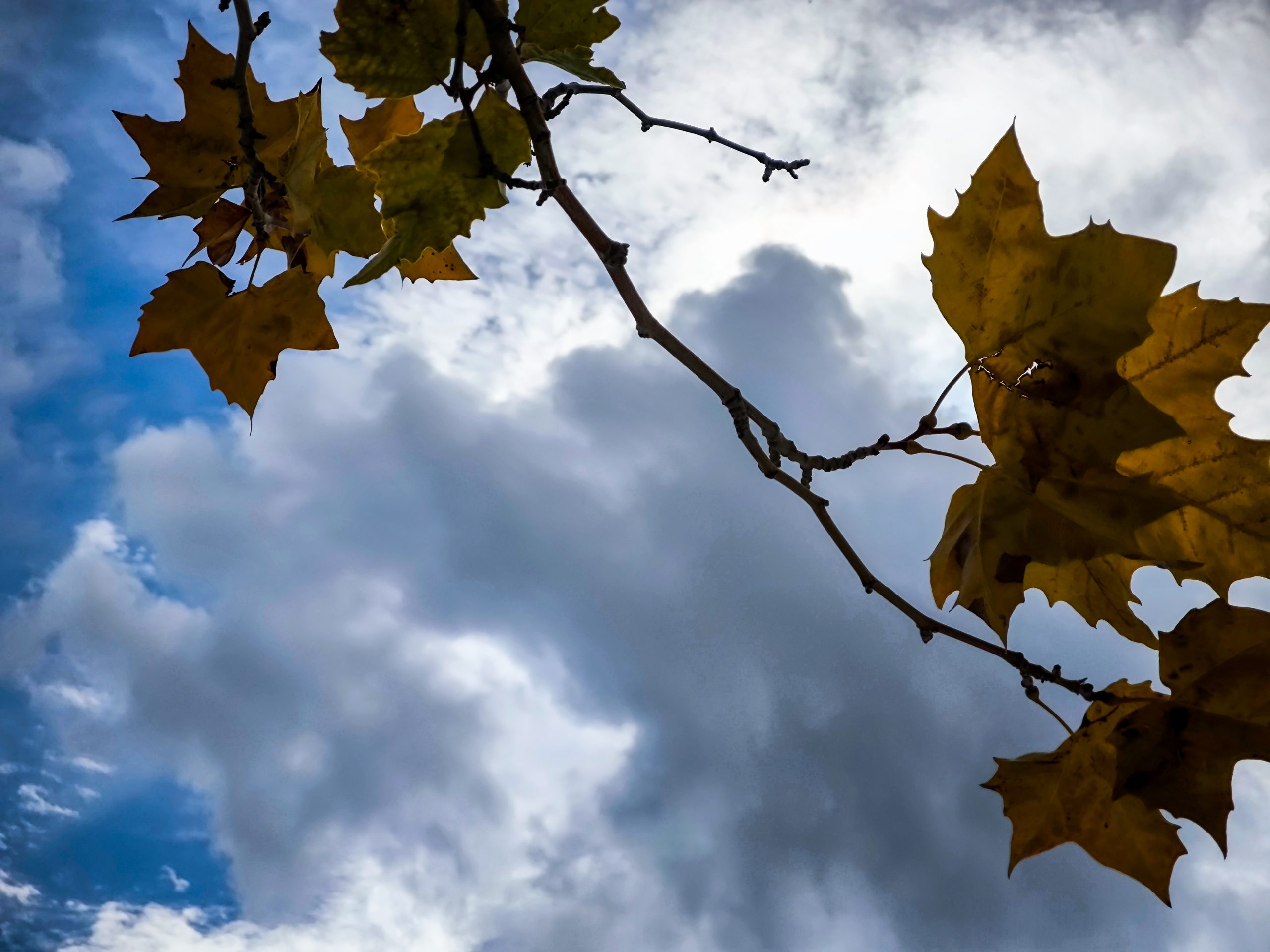 ΚΑΙΡΟΣ (ΓΙΩΡΓΟΣ ΚΟΝΤΑΡΙΝΗΣ/EUROKINISSI)