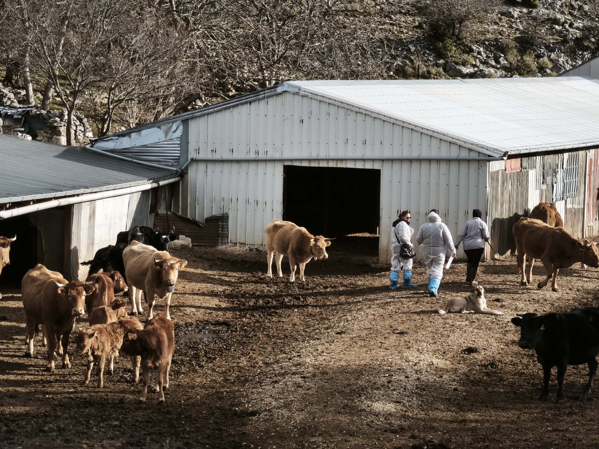 elegxoi-ktinotrofoi-1