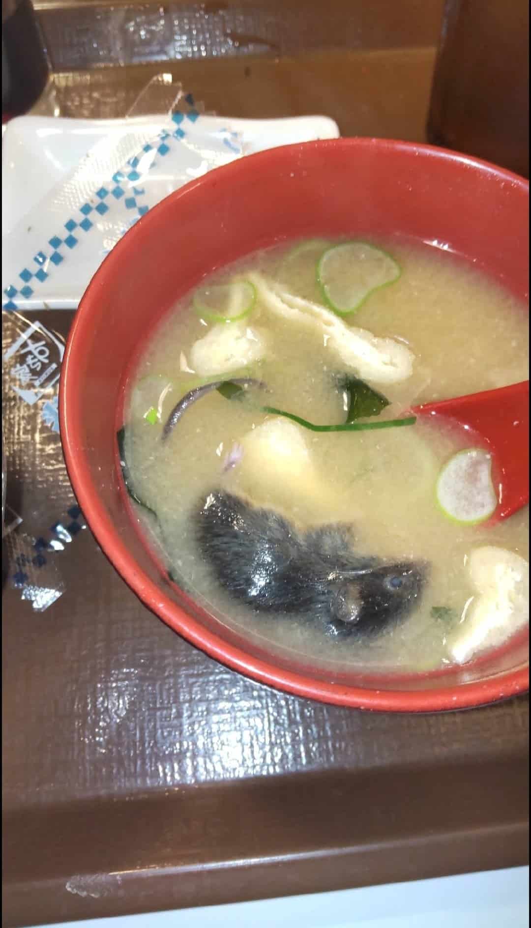 «Λουκέτο» σε καταστήματα γνωστής αλυσίδας ταχυφαγείων – Ποντίκι και έντομο βρέθηκαν σε πιάτα 5