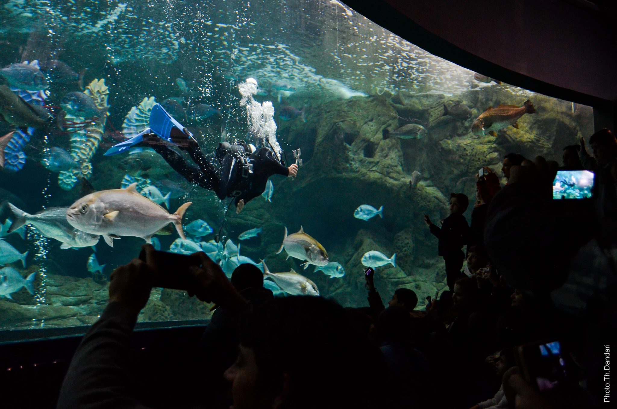 irakleio-enidreio-agiasmos-idaton