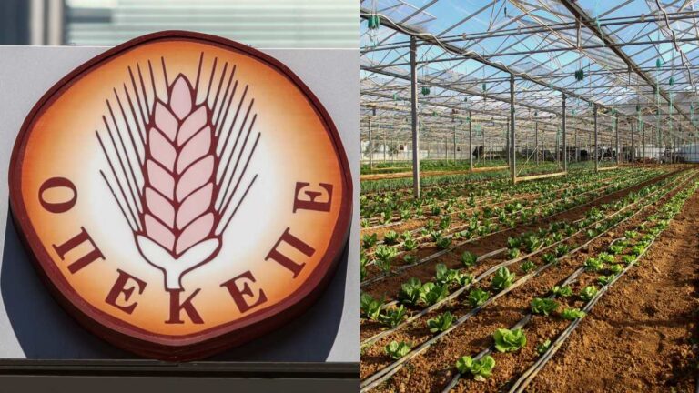 opekepe-viologika-768x432-1