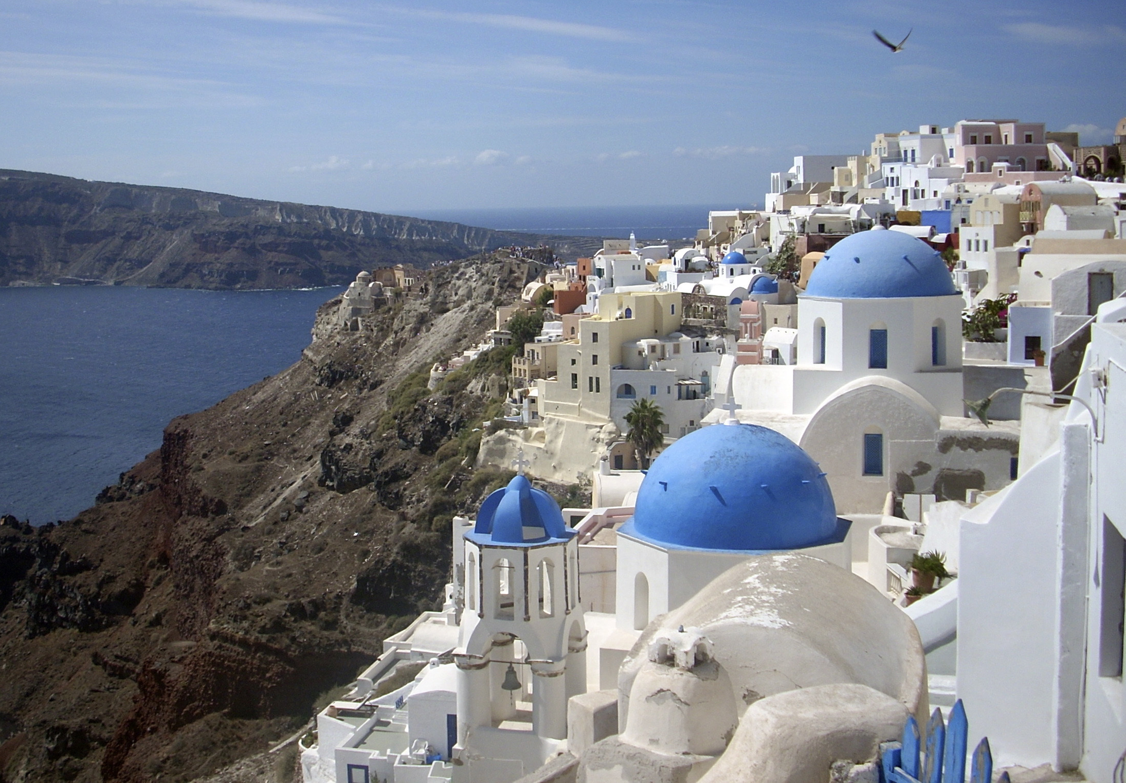 Not Real News Santorini-Donkeys