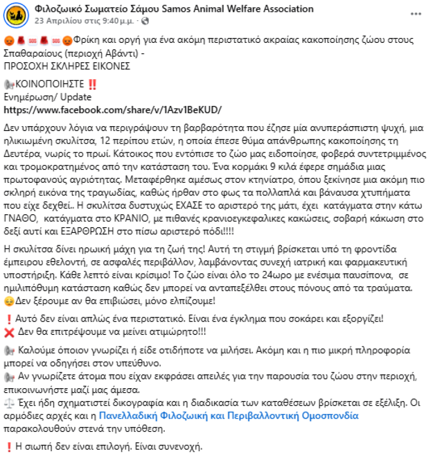 Κτηνωδία στη Σάμο: Έσπασαν το κρανίο, τη γνάθο και τη λεκάνη ηλικιωμένου σκύλου - Ζητούν πληροφορίες για τον δράστη