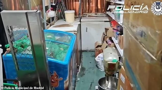 97074035 14586871 image a 17 1744186457071