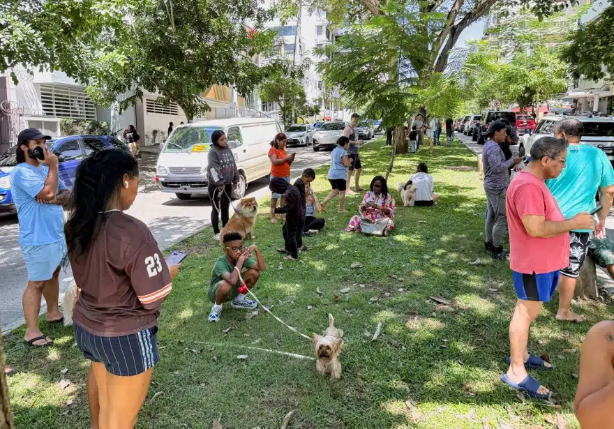 panama seismos 1